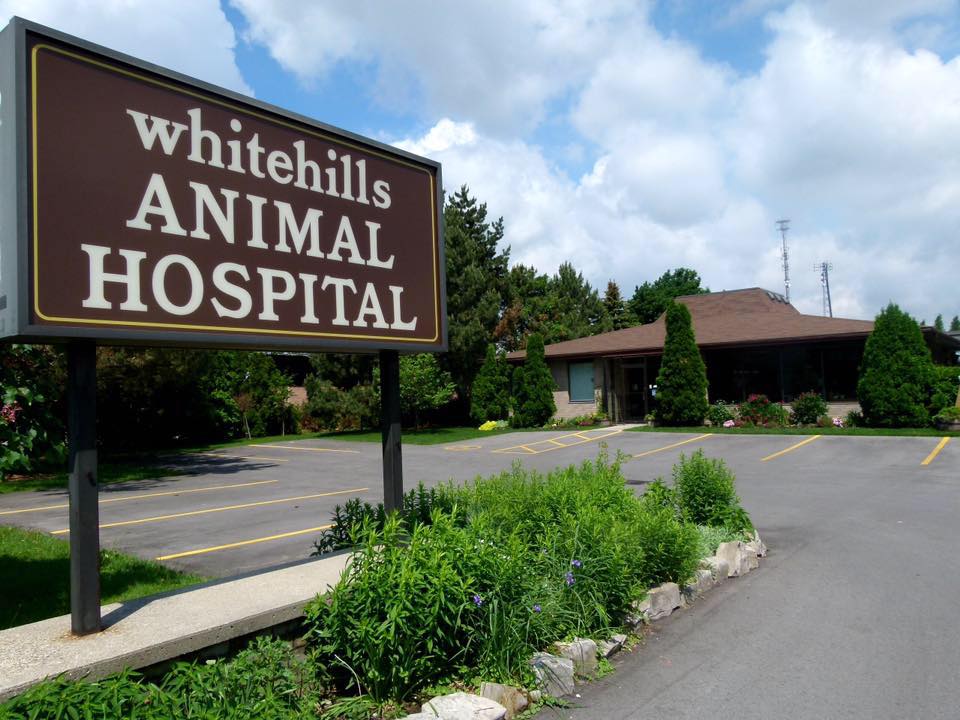 Whitehills Animal Hospital