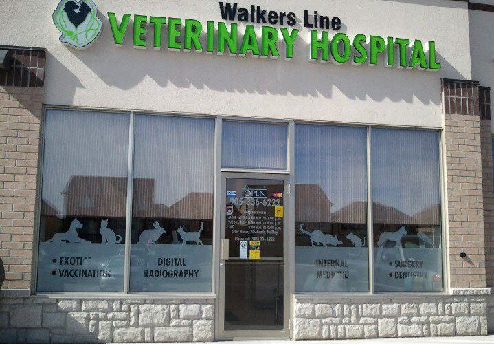 Walkers Line Veterinary Hospital