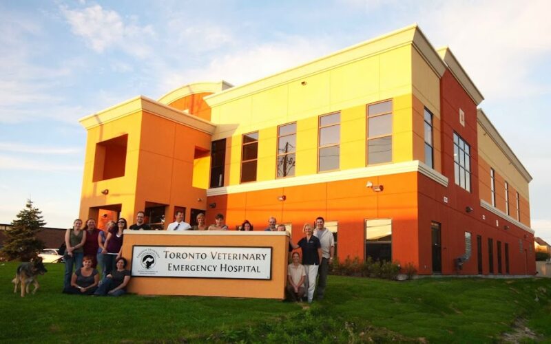 VCA Canada Toronto Veterinary Emergency Hospital