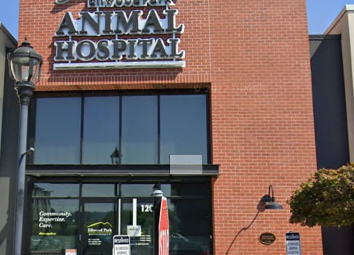 Ellwood Park Animal Hospital