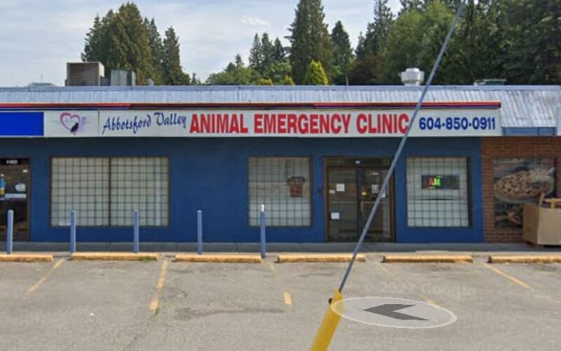 Abbotsford Valley Animal Emergency Clinic