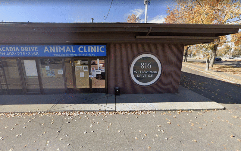 Acadia Drive Animal Clinic