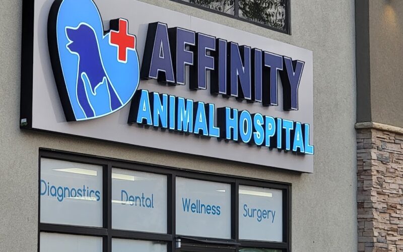 Affinity Animal Hospital