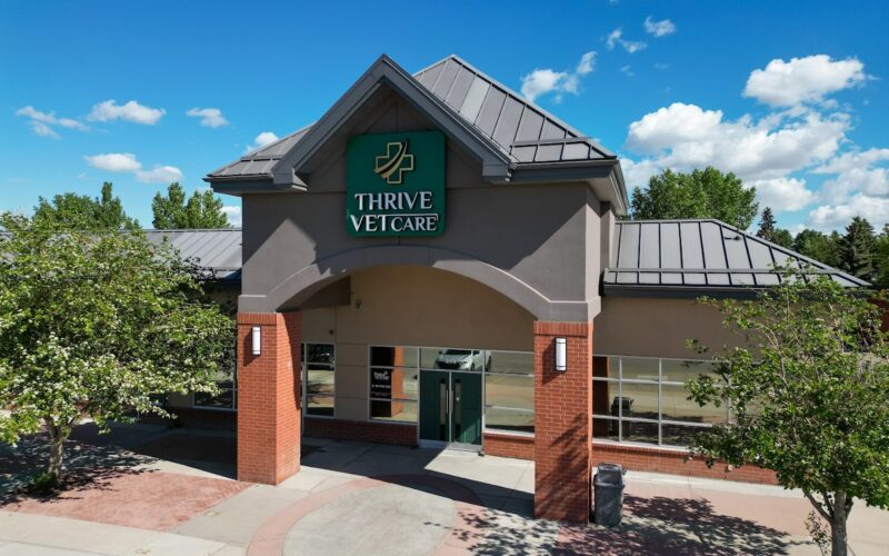 Thrive Vet Care | Airdrie Animal Clinic