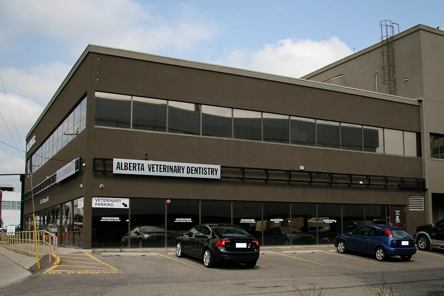 Alberta Veterinary Dentistry