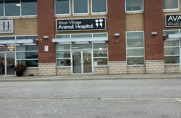 Alton Village Animal Hospital