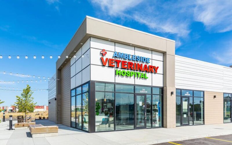 Ambleside Veterinary Hospital