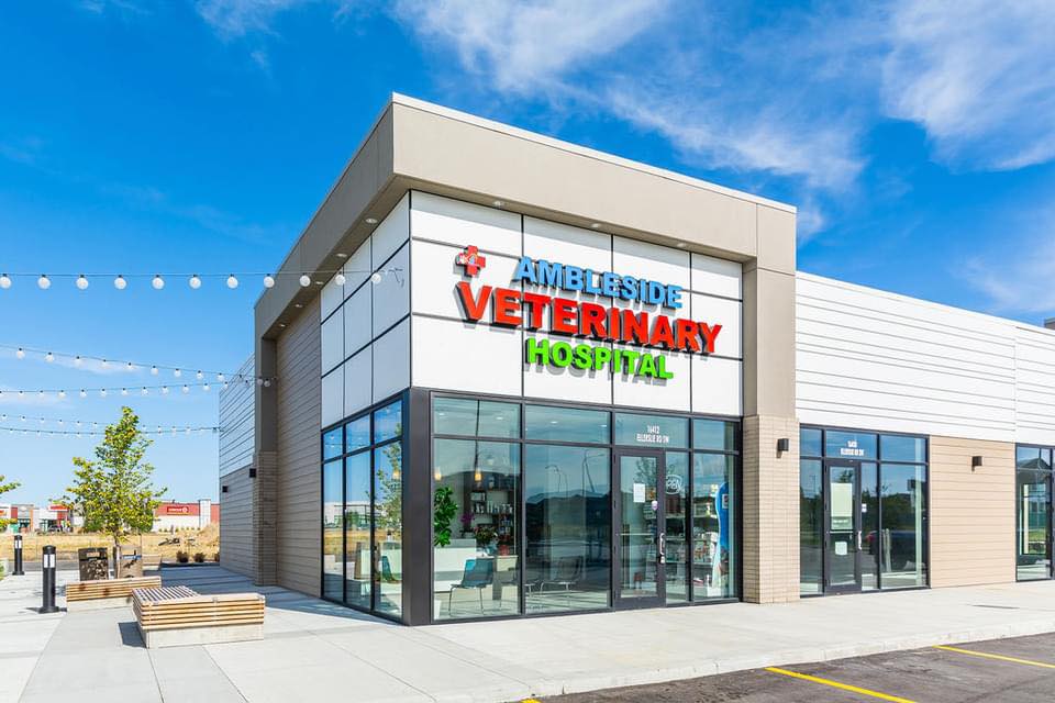 Ambleside Veterinary Hospital