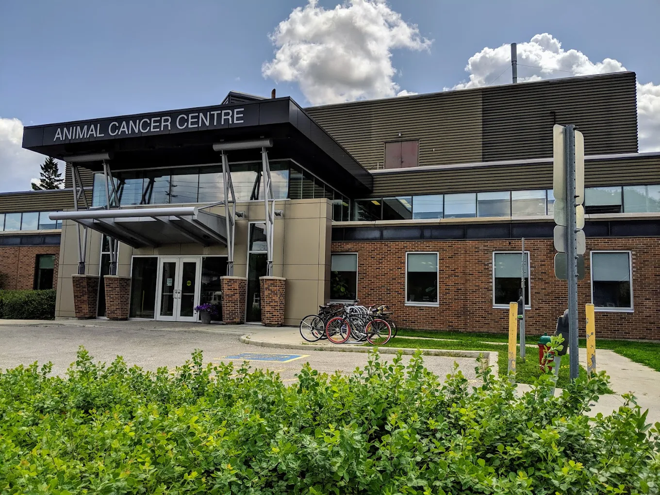 Animal Cancer Centre
