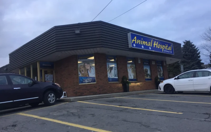 Animal Hospital Of Stoney Creek