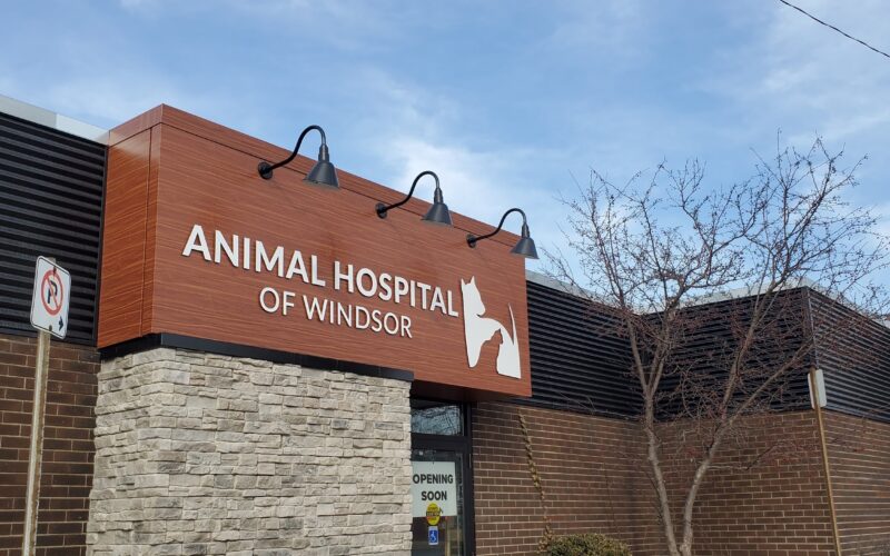 Animal Hospital of Windsor