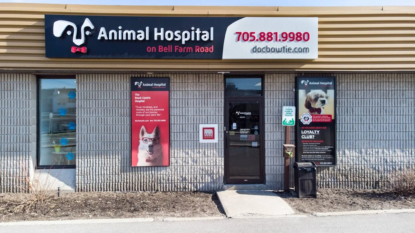 Animal Hospital on Bell Farm Road