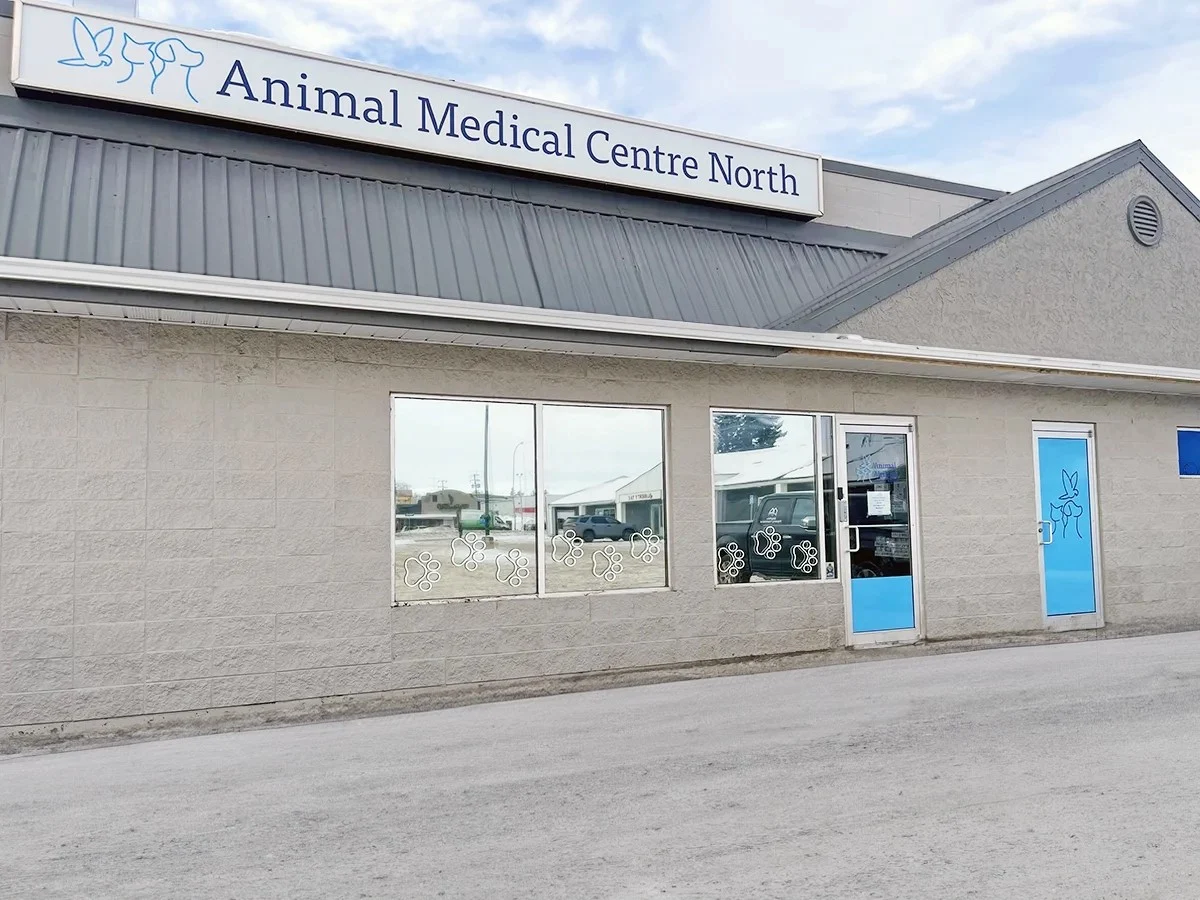 Animal Medical Centre North Animal Medical Centre North