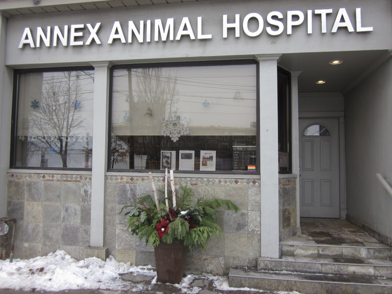 Annex Animal Hospital