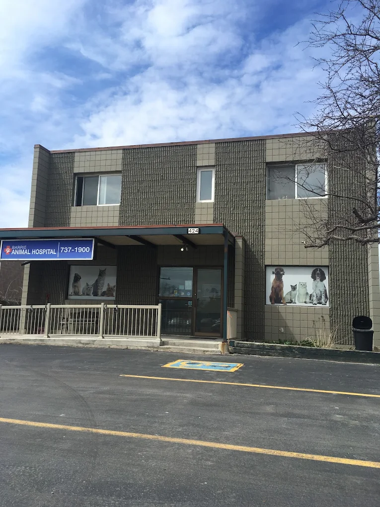 Barrie Animal Hospital