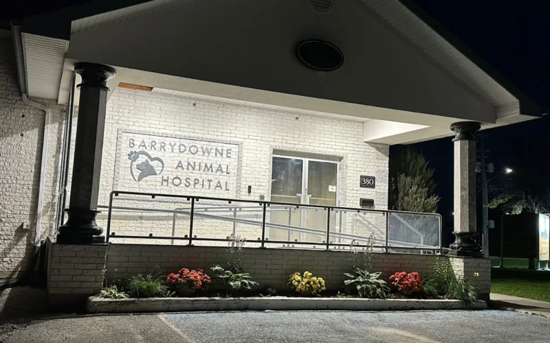 Barrydowne Animal Hospital