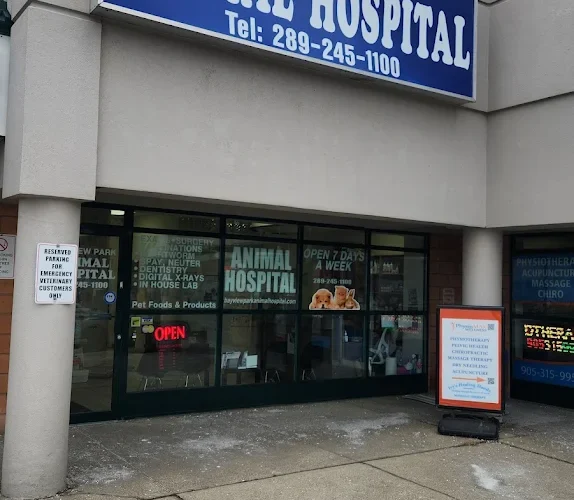 Bayview Park Animal Hospital