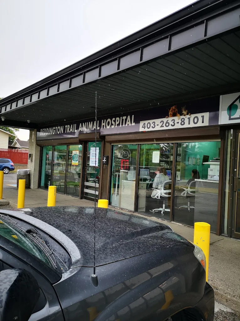 Beddington Trail Animal Hospital