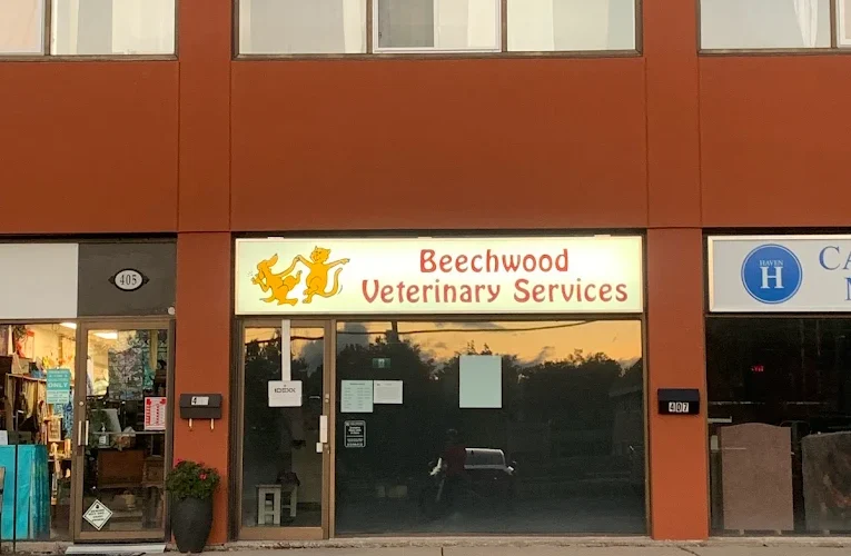 Beechwood Veterinary Services