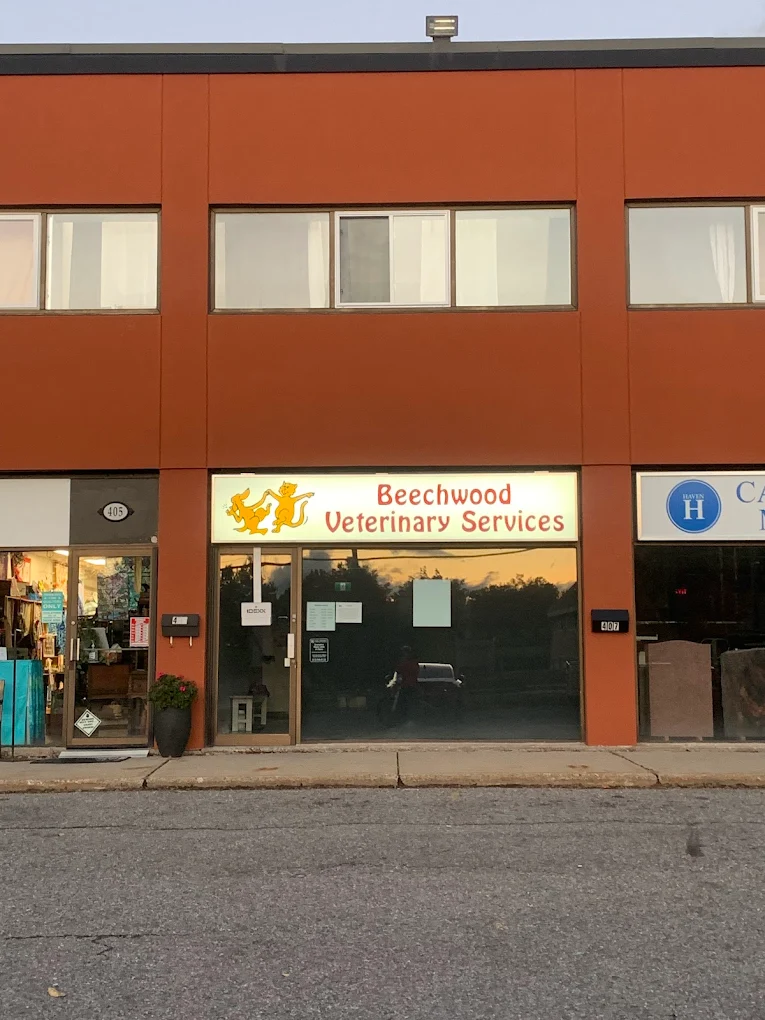 Beechwood Veterinary Services