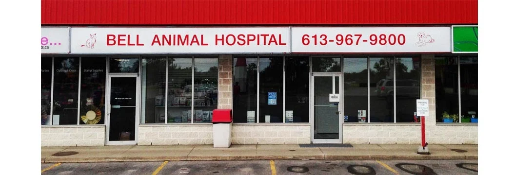 Bell Animal Hospital