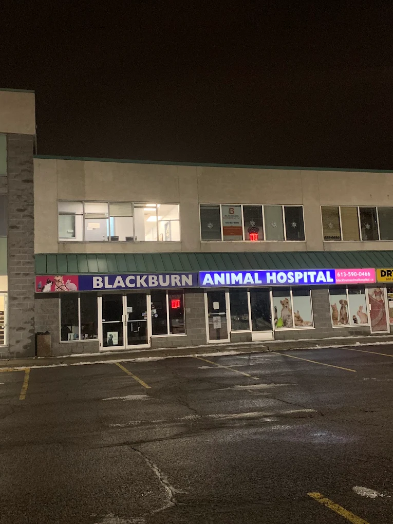 Blackburn Animal Hospital Professional Corporation