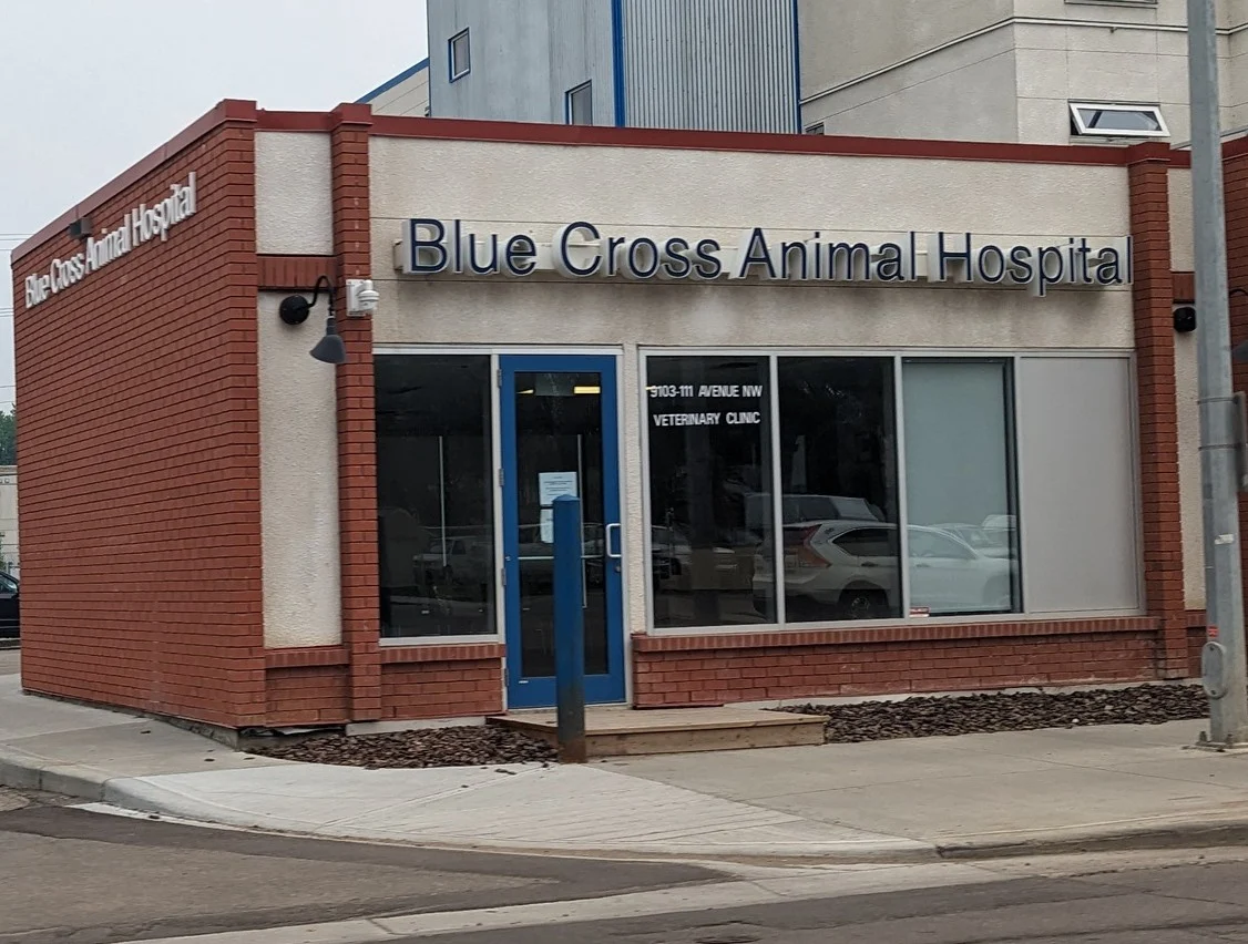 Blue Cross Animal Hospital