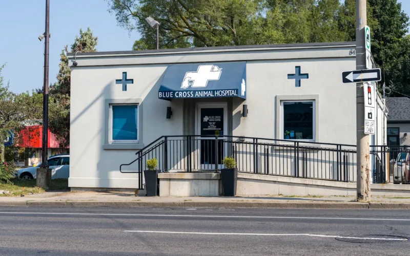 Blue Cross Animal Hospital