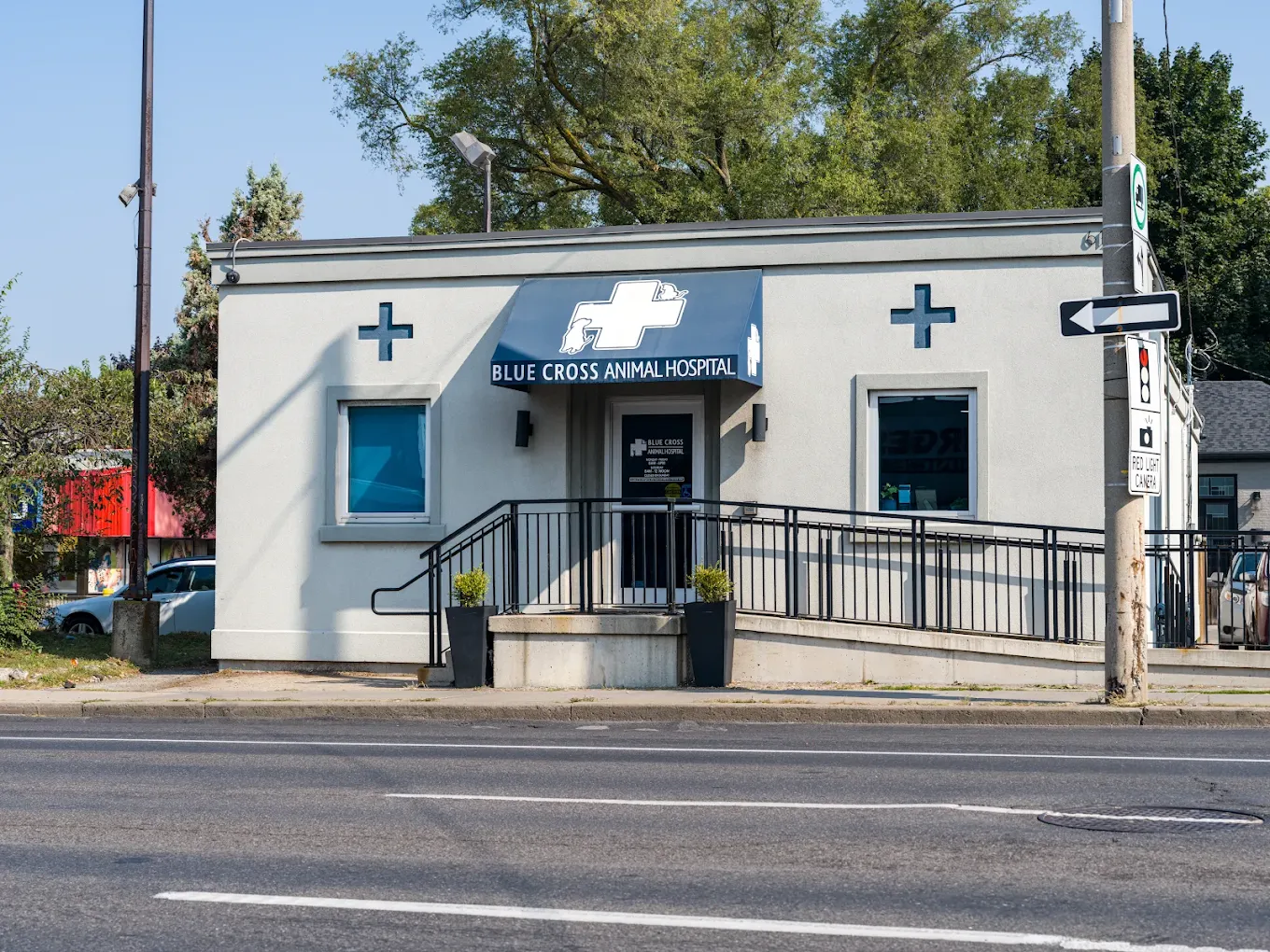 Blue Cross Animal Hospital