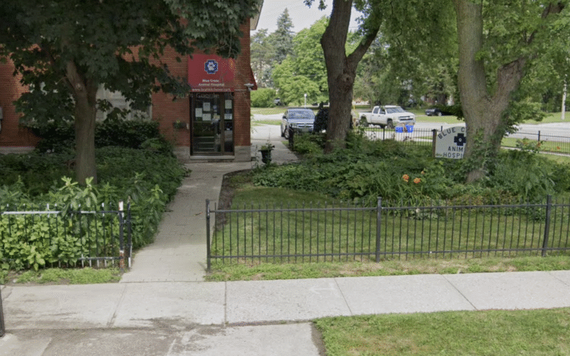 Blue Cross Animal Hospital