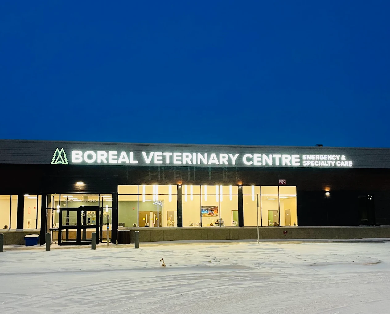 Boreal vet clinic