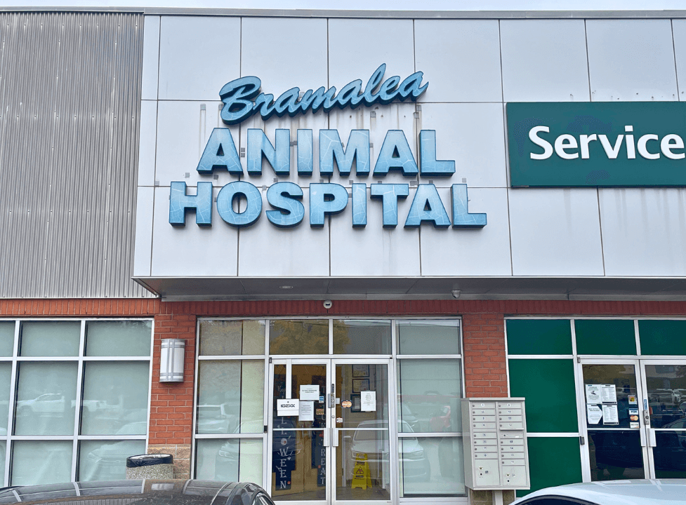 Bramalea Animal Hospital