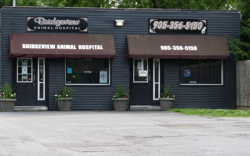 Bridgeview Animal Hospital