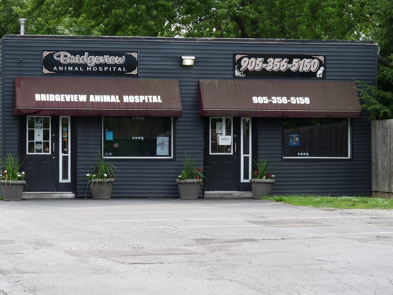 Bridgeview Animal Hospital
