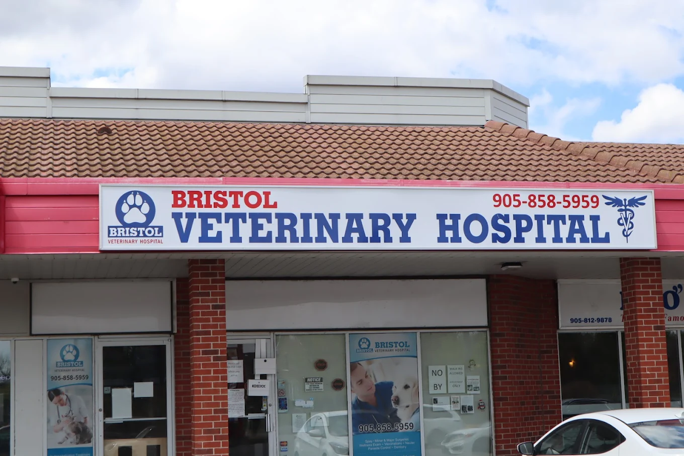 Bristol Veterinary Hospital