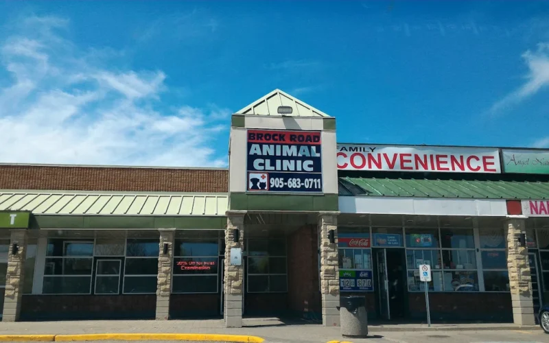 Brock Road Animal Clinic