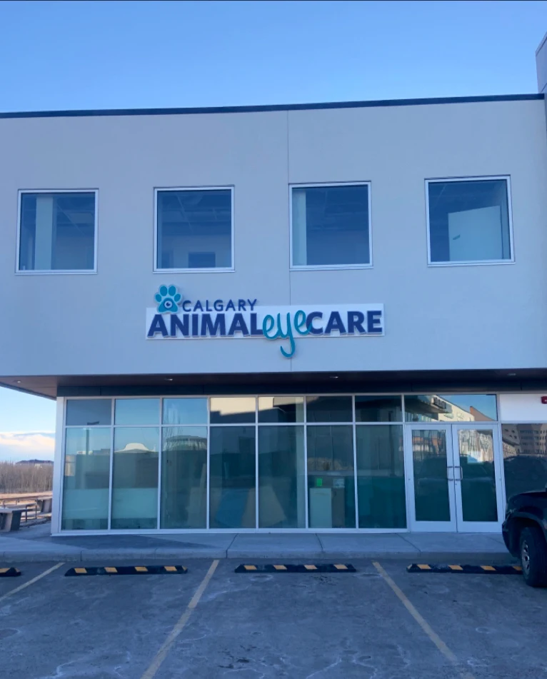 Calgary Animal Eye Care
