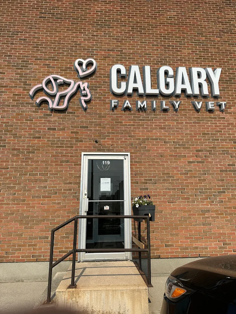 Calgary Family Veterinarian