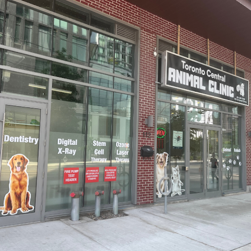 Toronto Central Animal Clinic