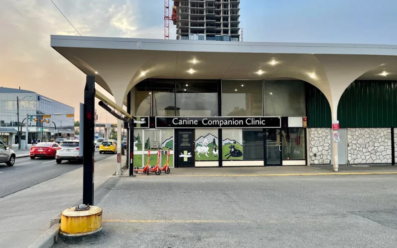 Canine Companion Clinic
