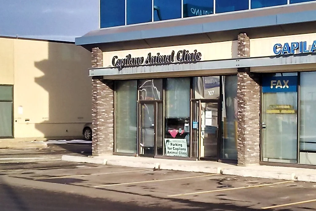 Capilano Animal Clinic
