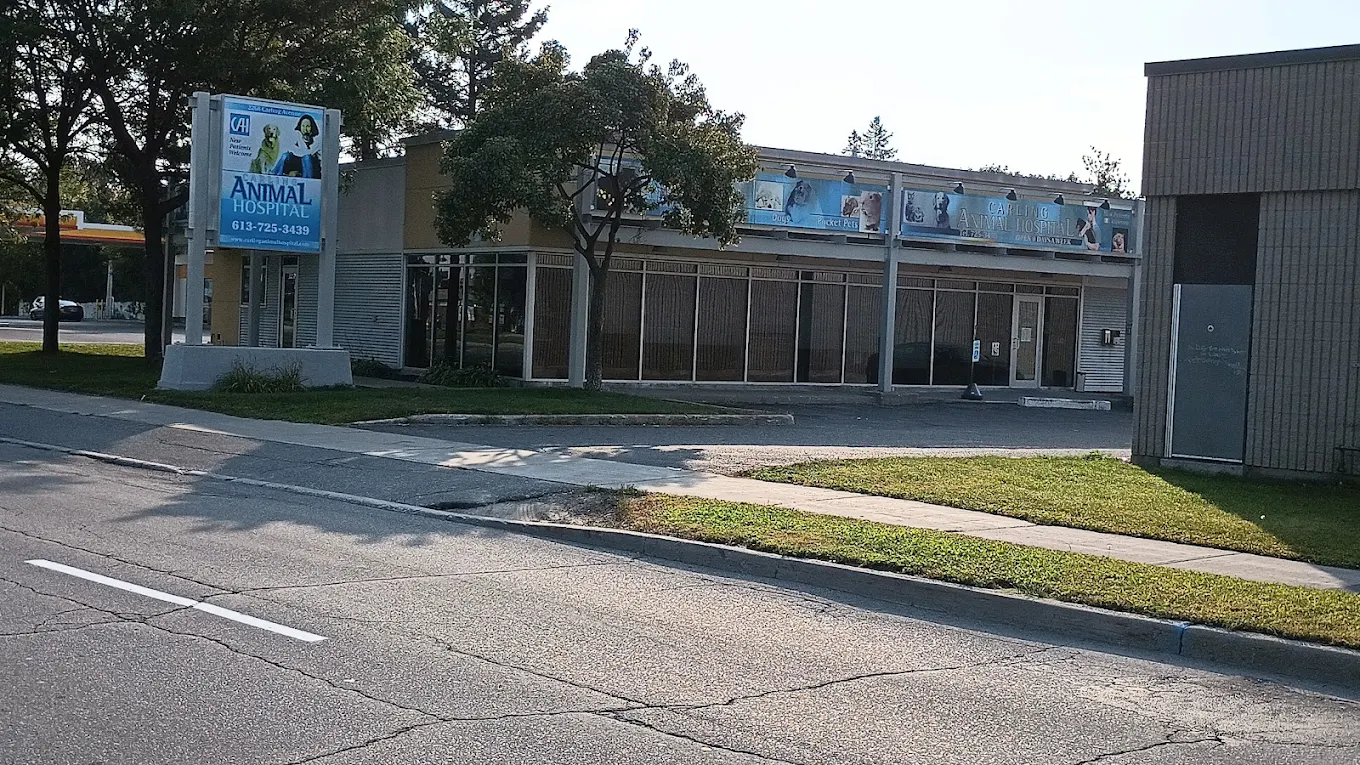 Carling Animal Hospital