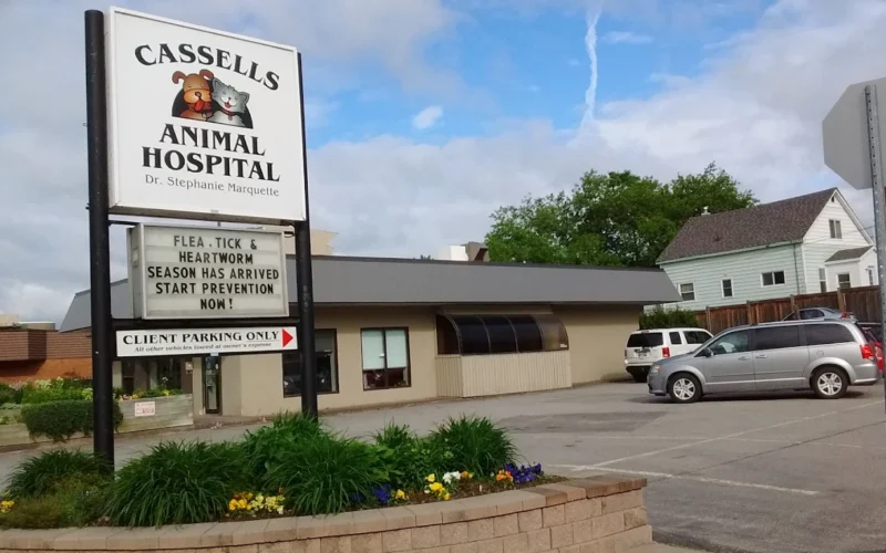 Cassells Animal Hospital