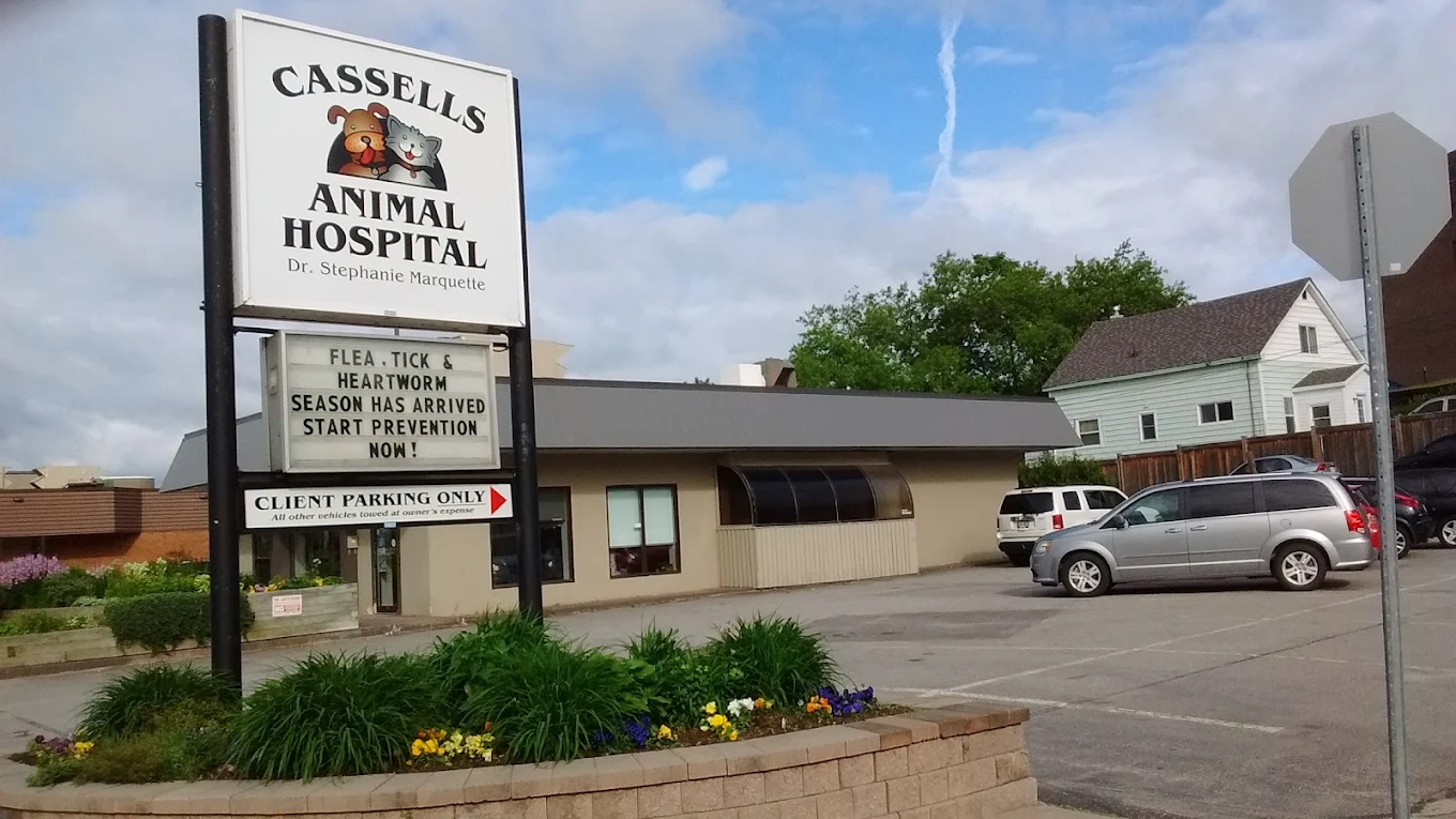 Cassells Animal Hospital