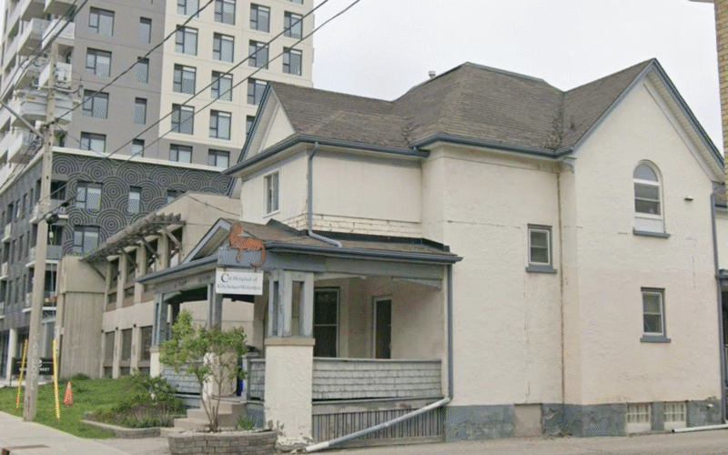 Cat Hospital Of Kitchener-Waterloo