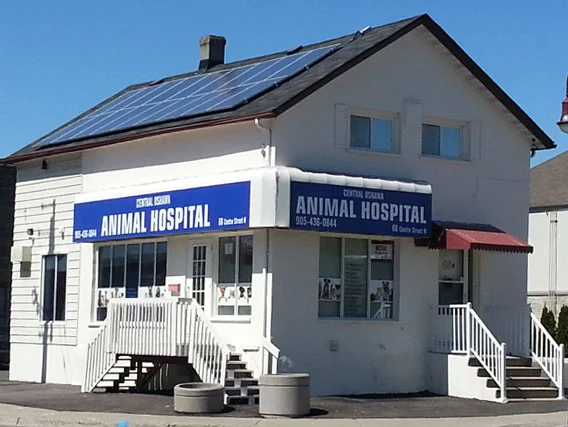 Central Oshawa Animal Hospital