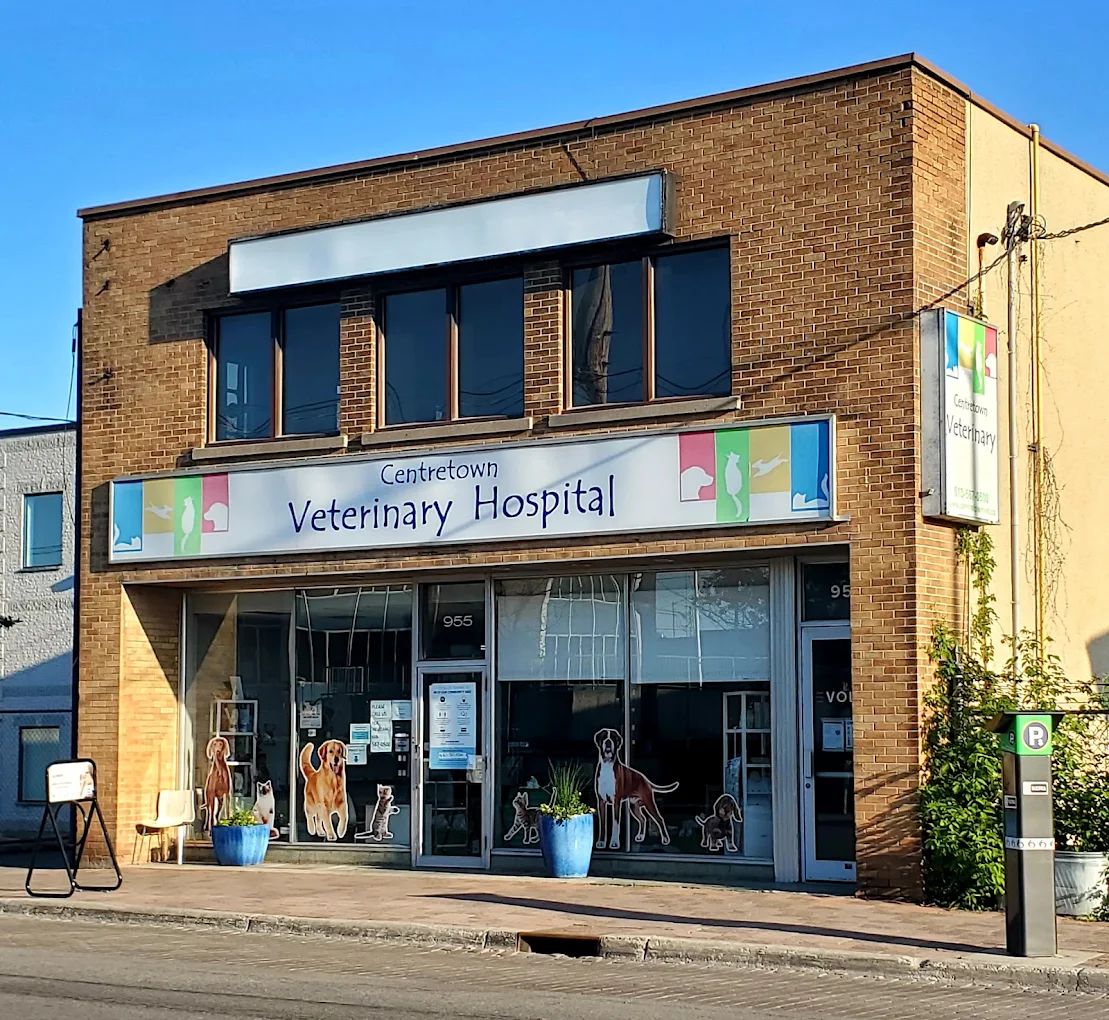 Centretown Veterinary Hospital