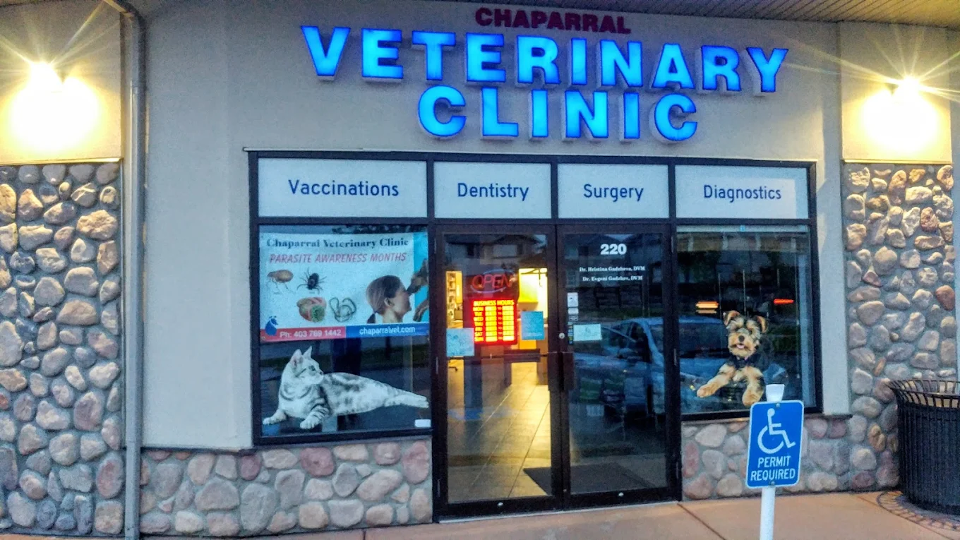 Chaparral Veterinary Clinic