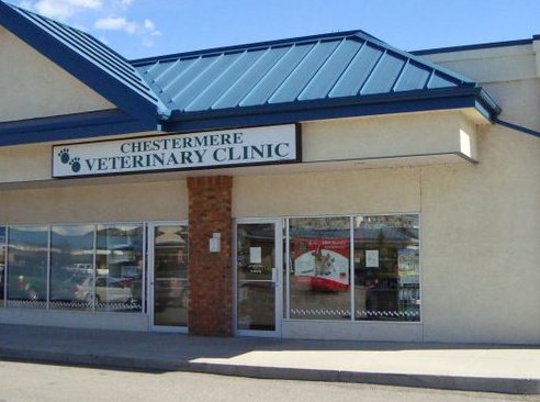 Chestermere Veterinary Clinic