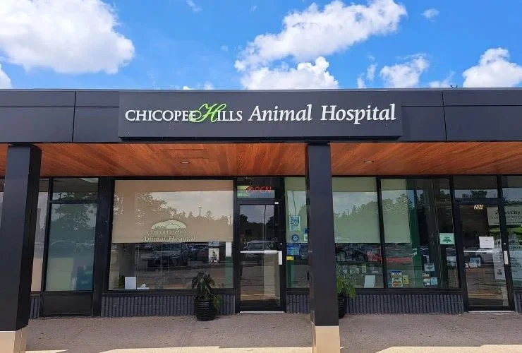 Chicopee Hills Animal Hospital